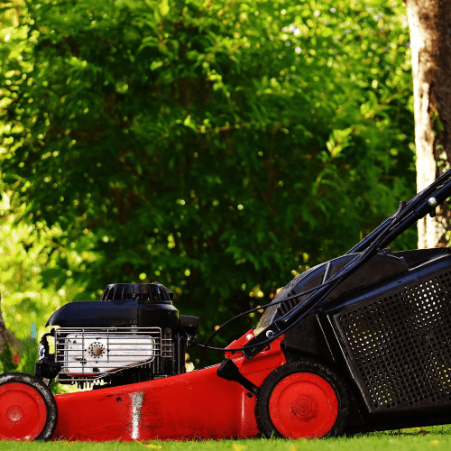 Landscaping Service